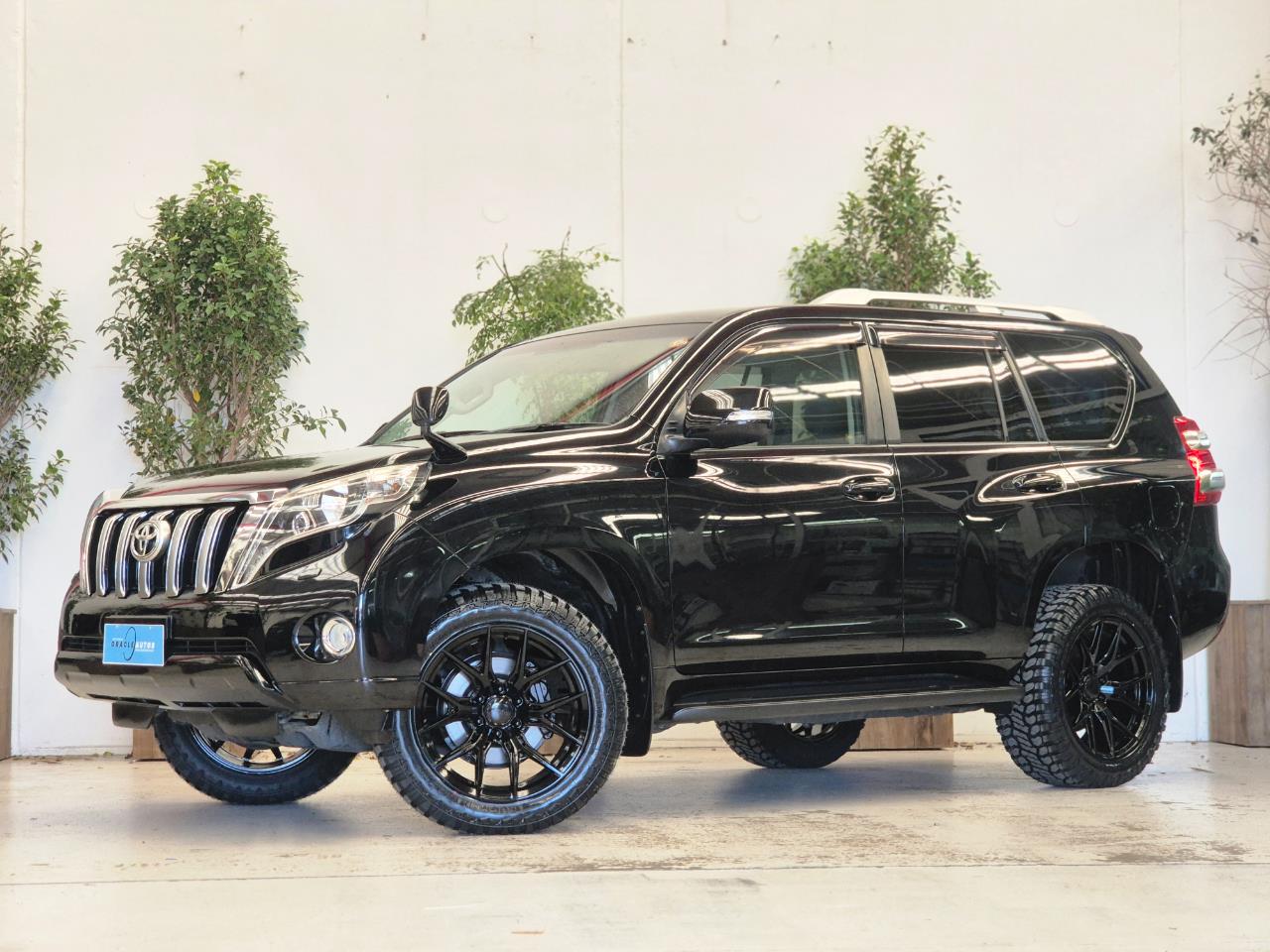 2016 Toyota Landcruiser thumbnail