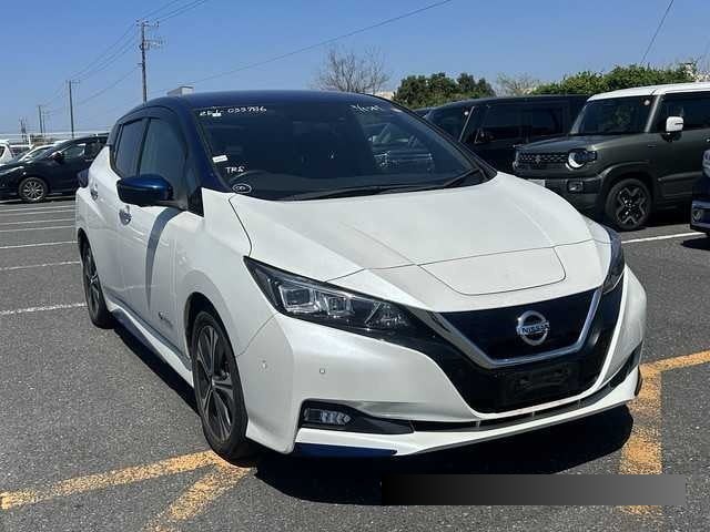 2019 Nissan Leaf thumbnail