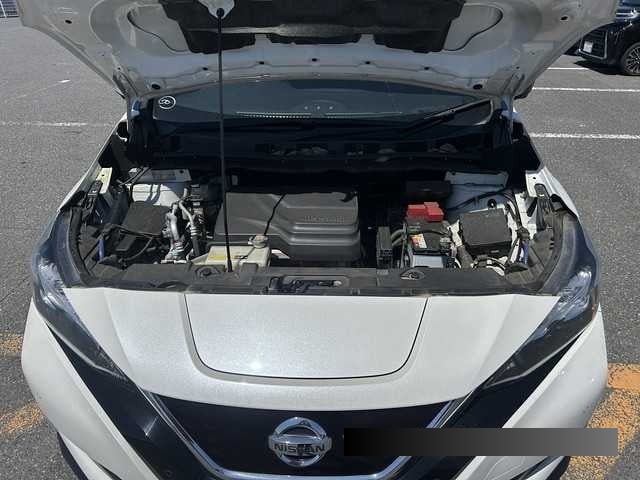 2019 Nissan Leaf thumbnail