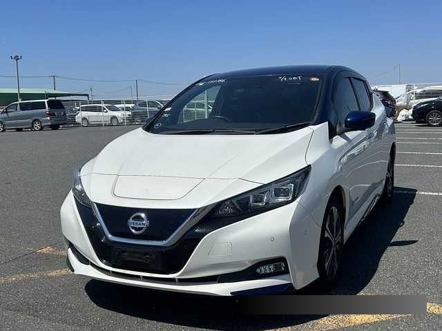 2019 Nissan Leaf thumbnail