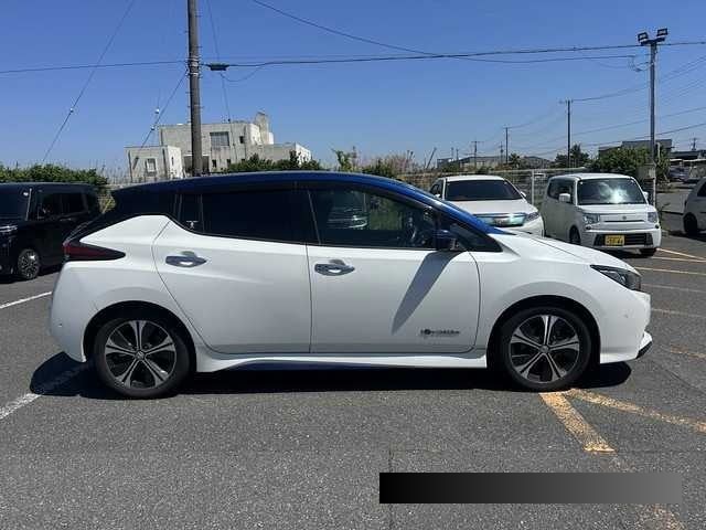 2019 Nissan Leaf thumbnail