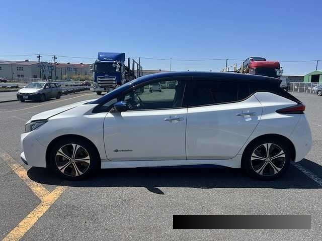 2019 Nissan Leaf thumbnail