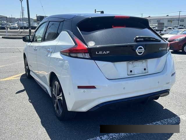 2019 Nissan Leaf thumbnail