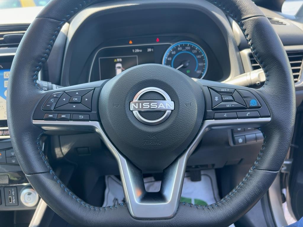 2022 Nissan Leaf thumbnail