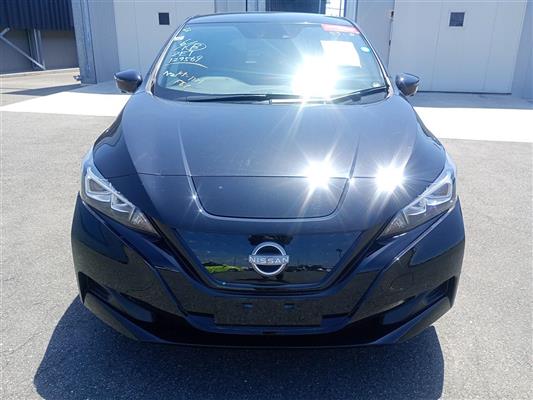 2022 Nissan Leaf thumbnail