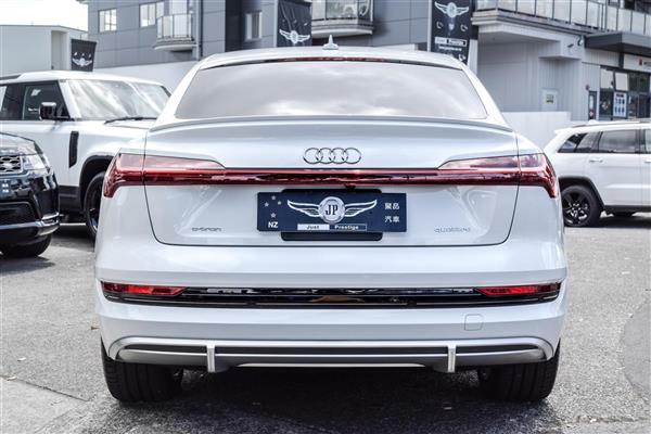 2021 Audi e-tron thumbnail