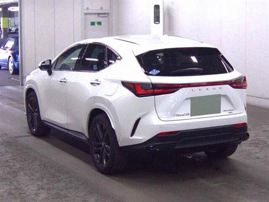 2024 Lexus NX thumbnail