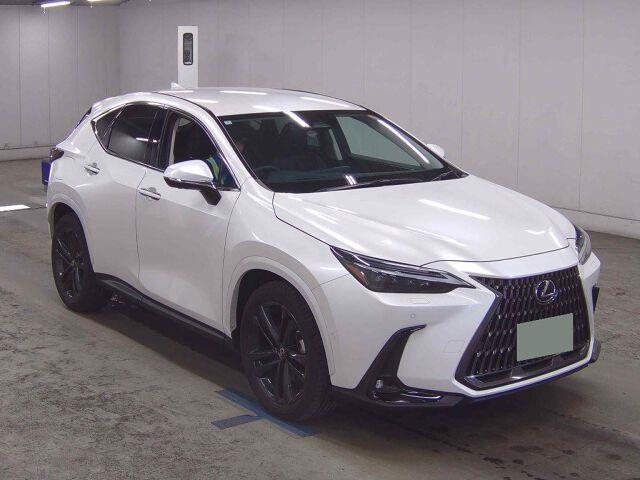2024 Lexus NX thumbnail