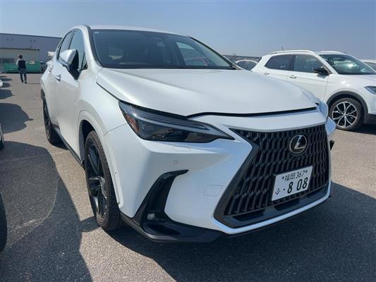2024 Lexus NX thumbnail