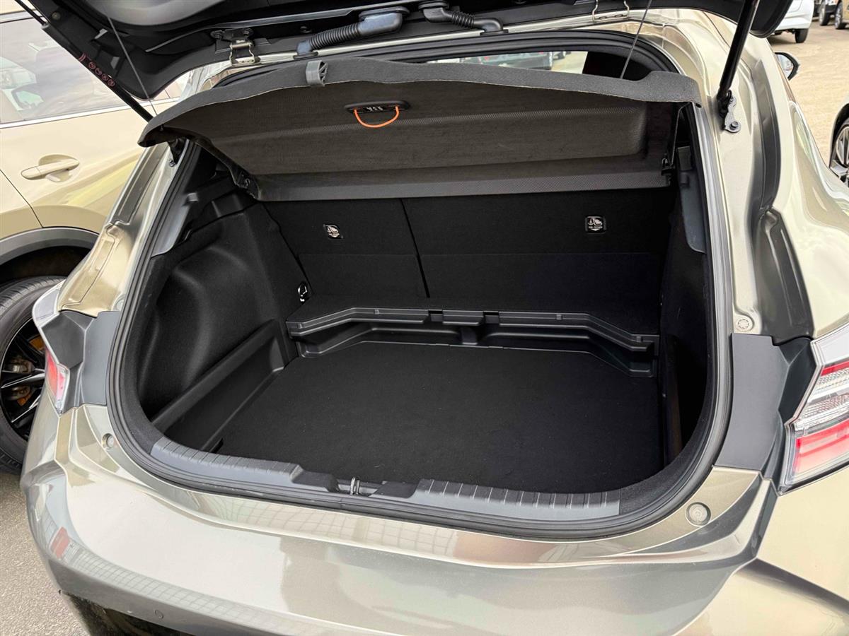2019 Toyota Corolla thumbnail