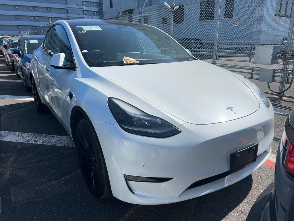 2023 Tesla Model thumbnail