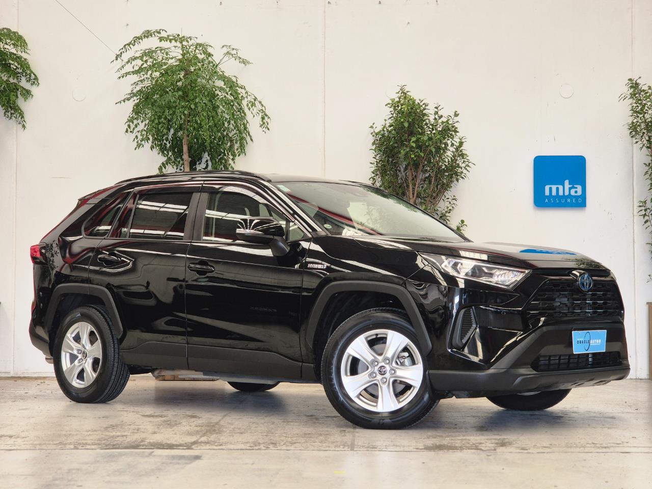 2019 Toyota Rav4 thumbnail
