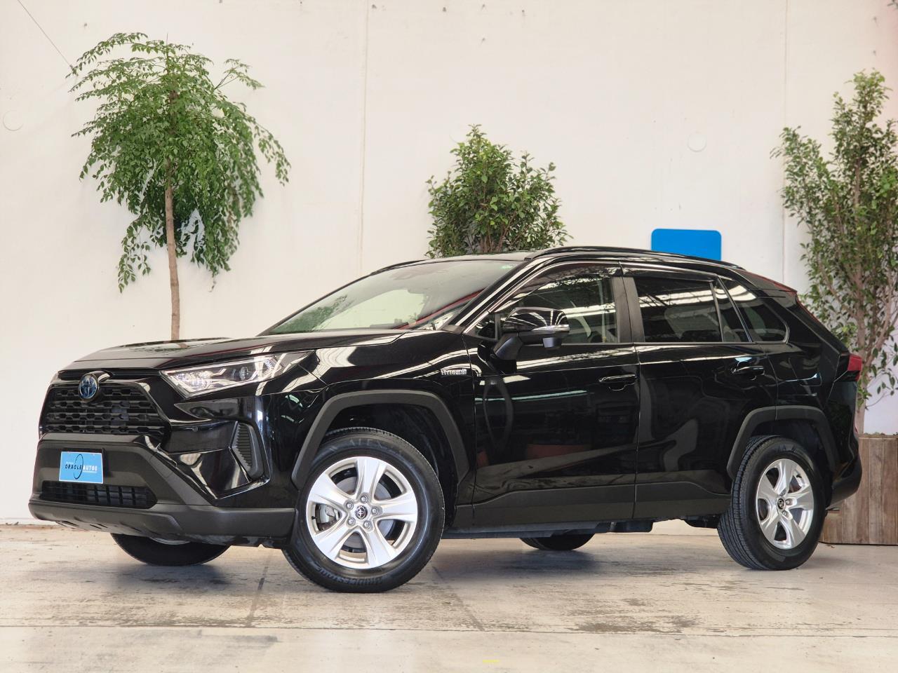 2019 Toyota Rav4 thumbnail