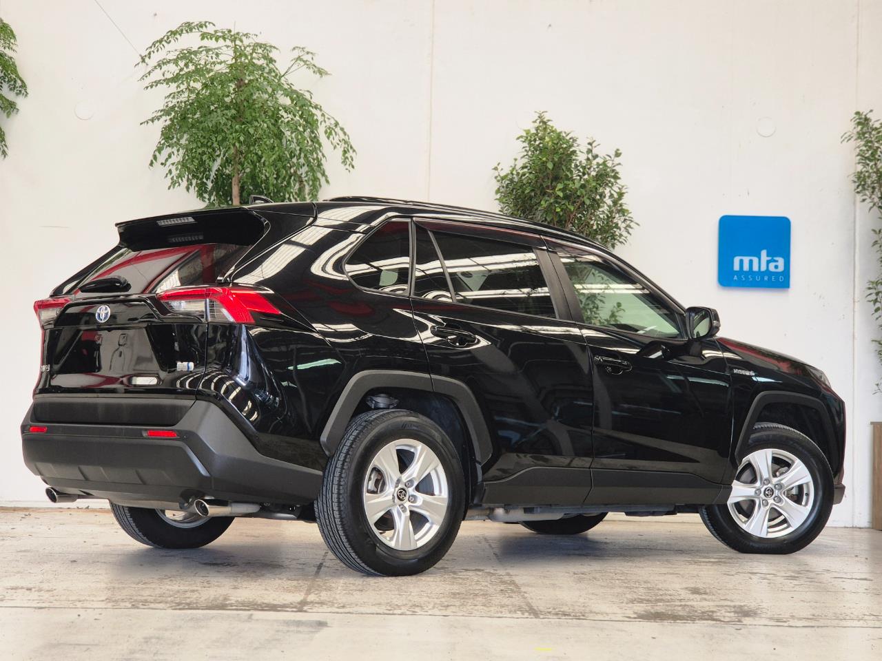 2019 Toyota Rav4 thumbnail