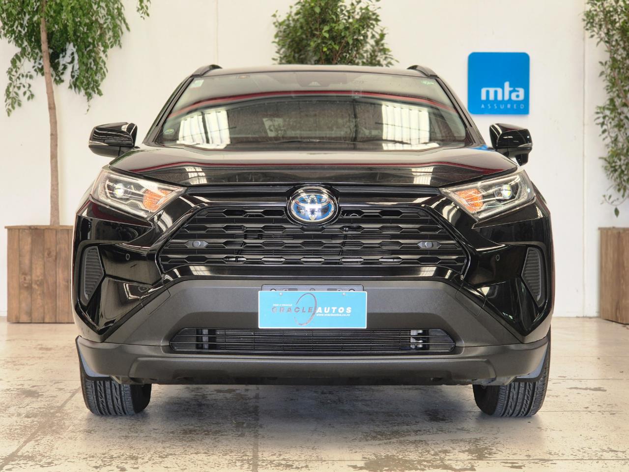 2019 Toyota Rav4 thumbnail