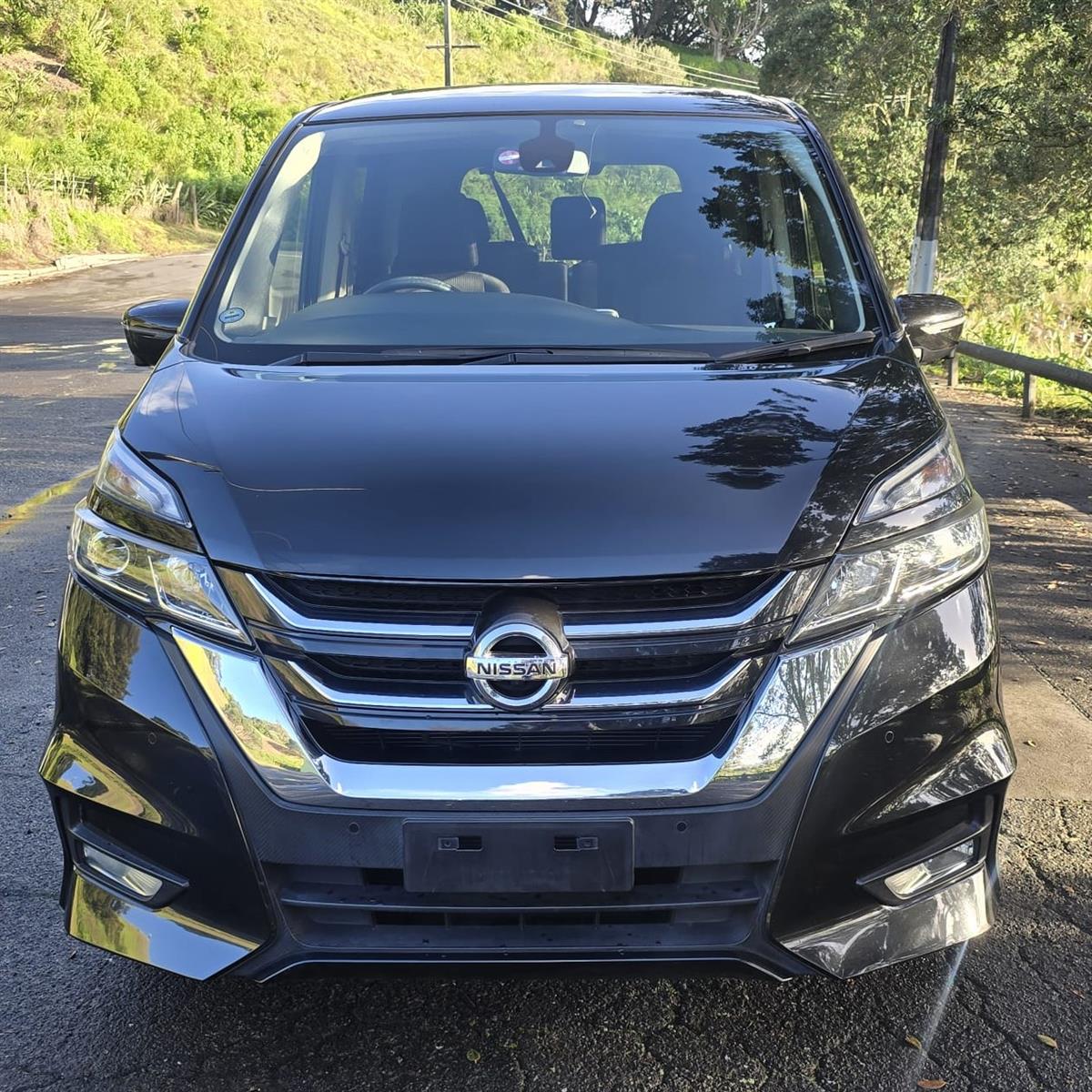 2017 Nissan Serena thumbnail