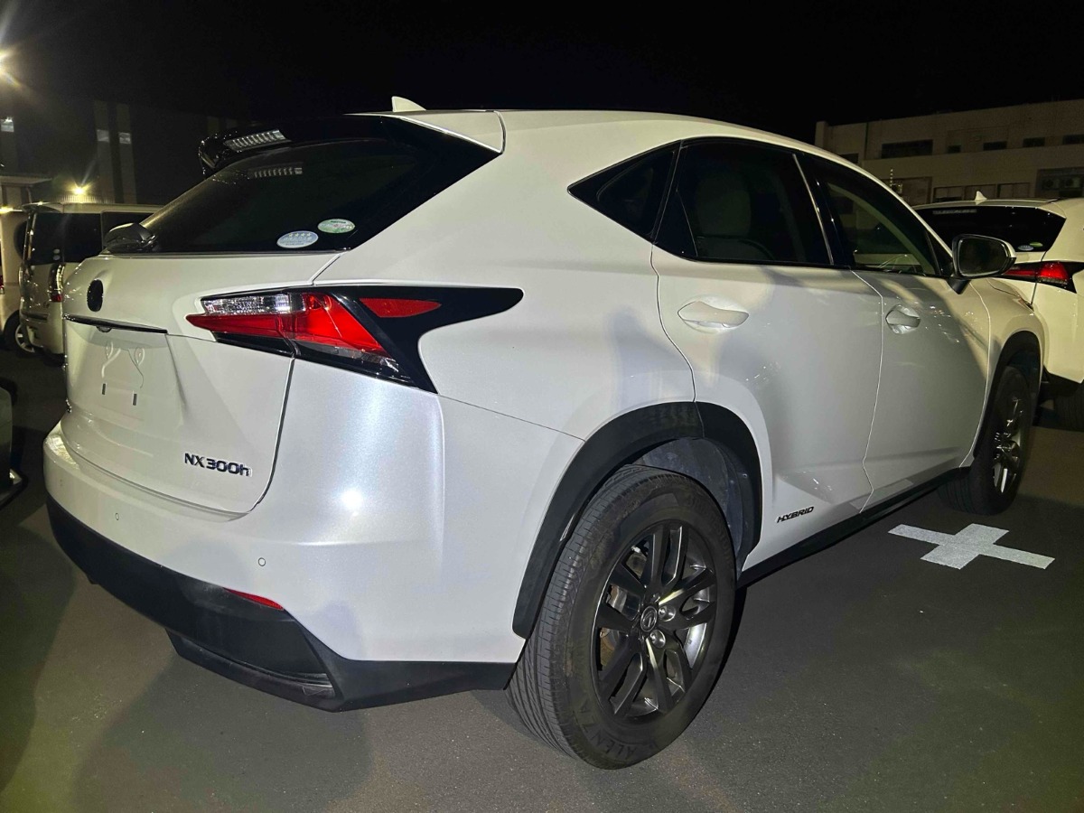 2014 Lexus NX thumbnail