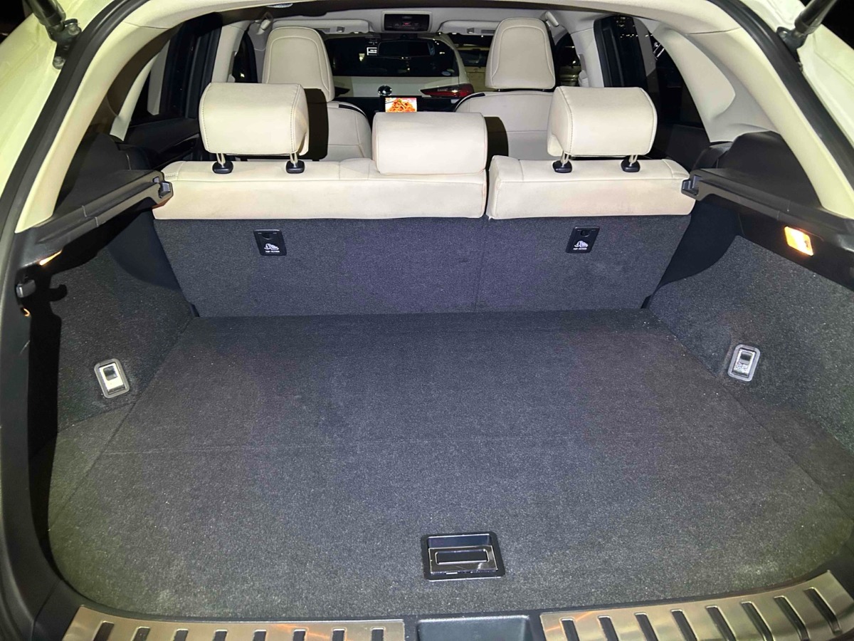 2014 Lexus NX thumbnail