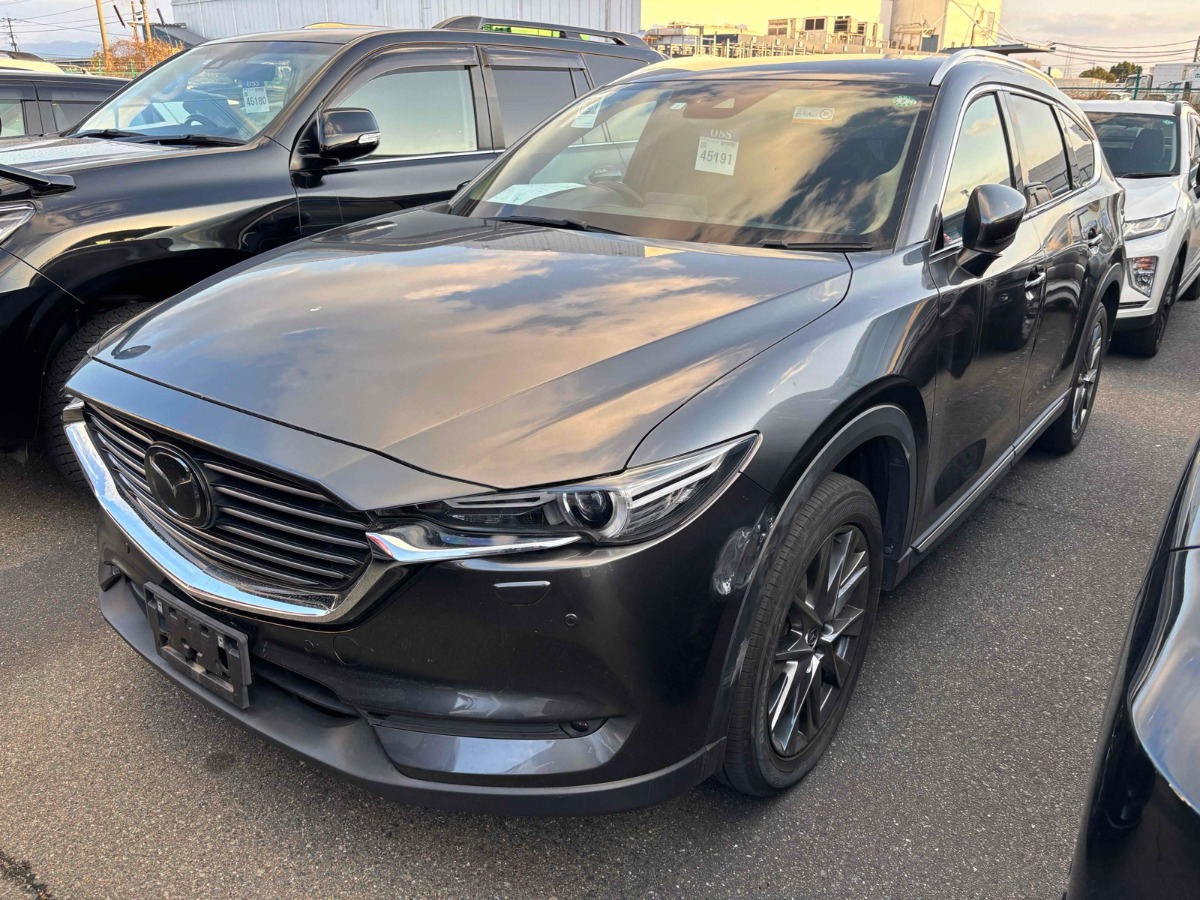 2019 Mazda CX-8 thumbnail