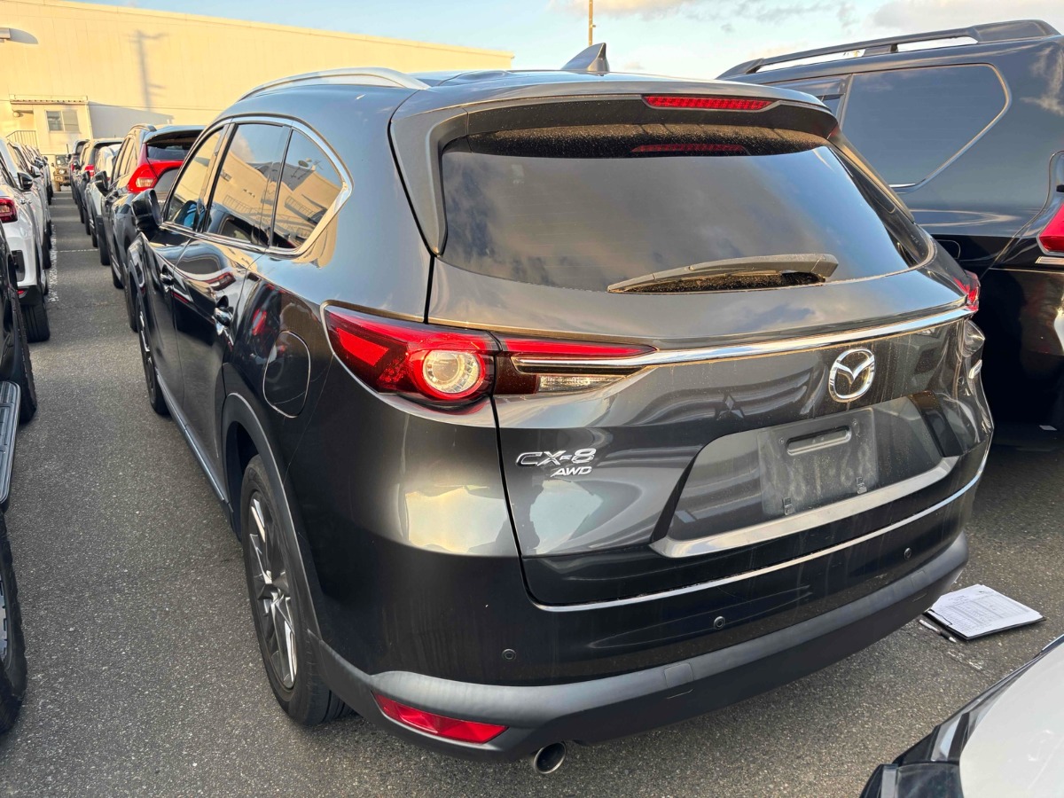 2019 Mazda CX-8 thumbnail