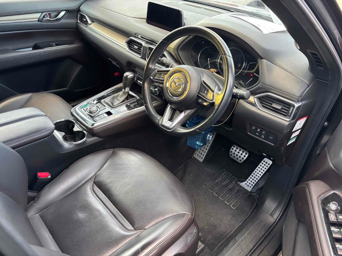 2019 Mazda CX-8 thumbnail