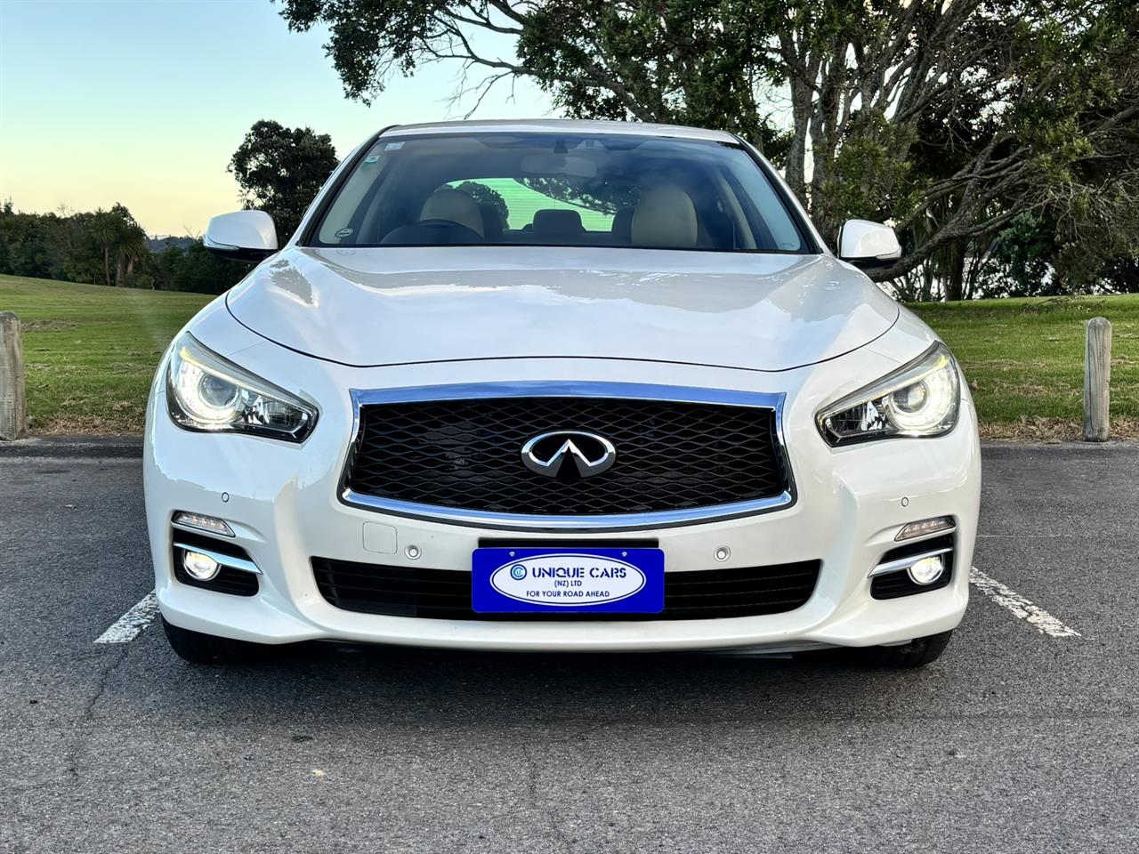 2016 Nissan Skyline thumbnail