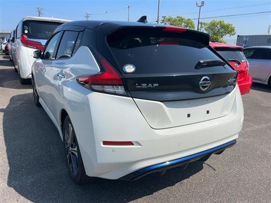 2021 Nissan Leaf thumbnail
