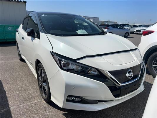2021 Nissan Leaf thumbnail