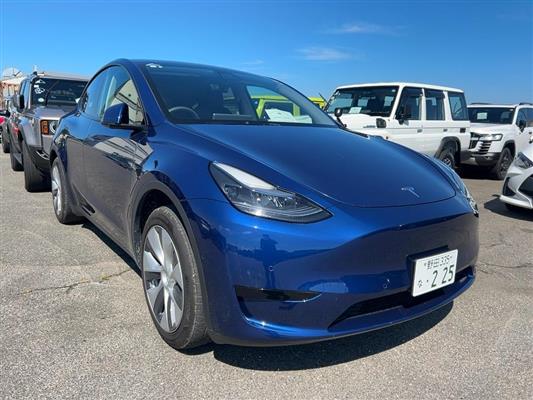 2023 Tesla Model thumbnail