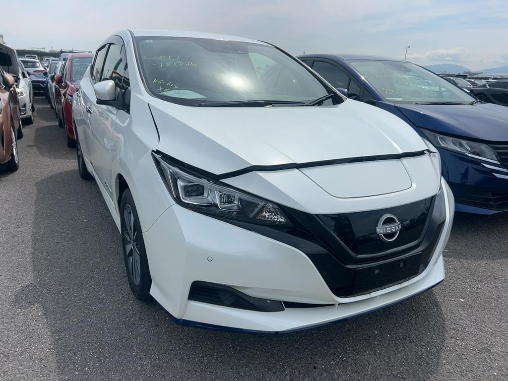 2021 Nissan Leaf