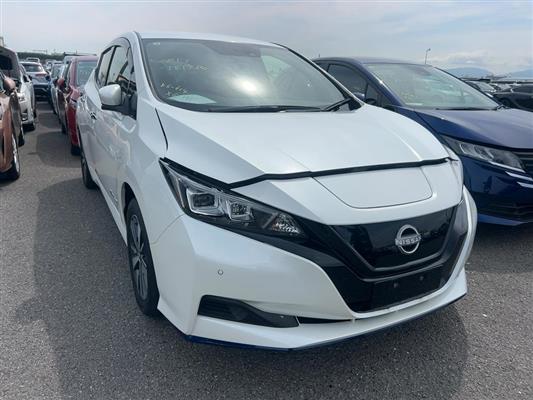 2021 Nissan Leaf thumbnail