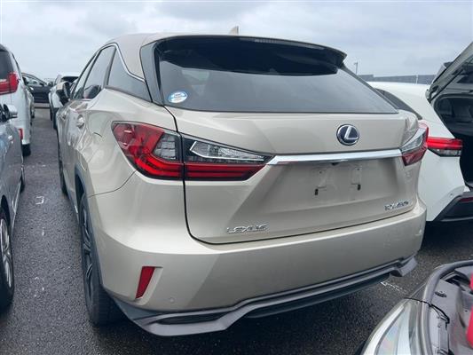 2019 Lexus RX thumbnail