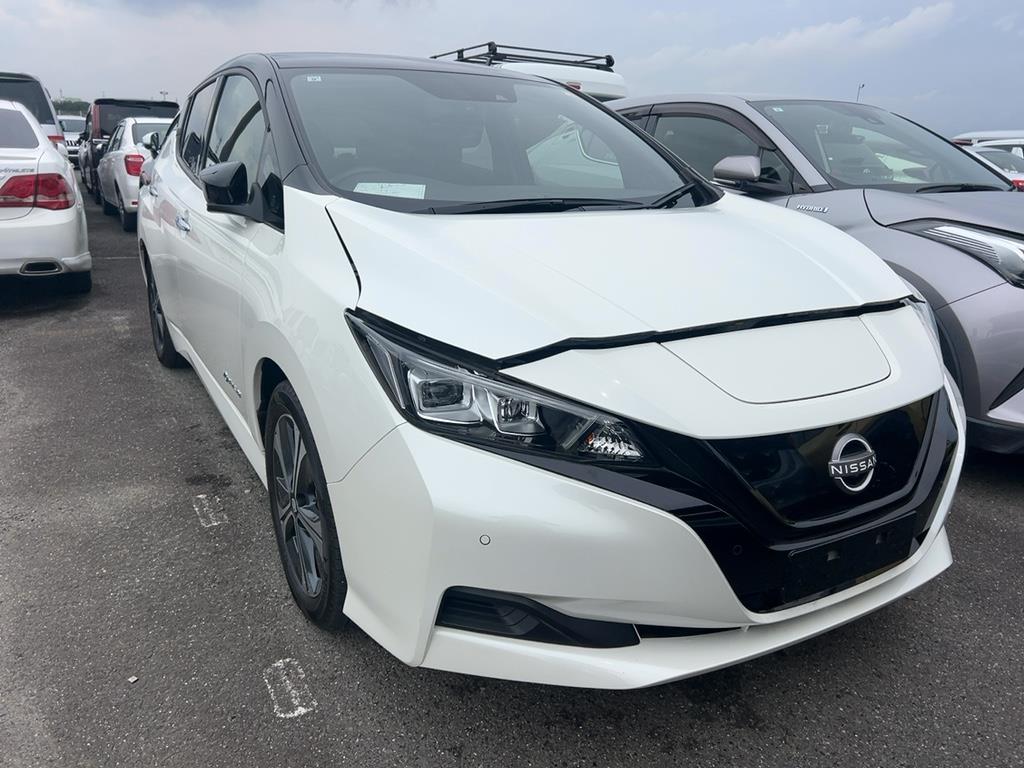2021 Nissan Leaf