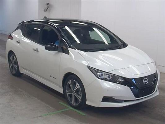 2021 Nissan Leaf thumbnail