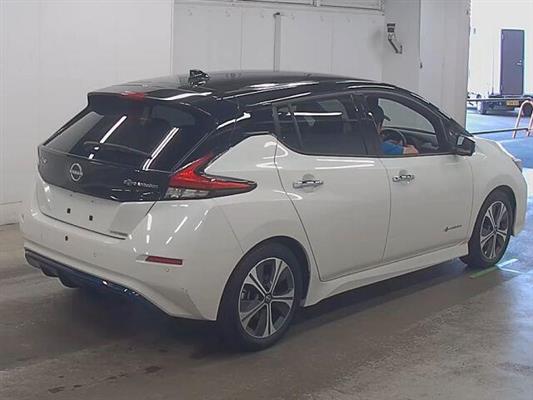 2021 Nissan Leaf thumbnail