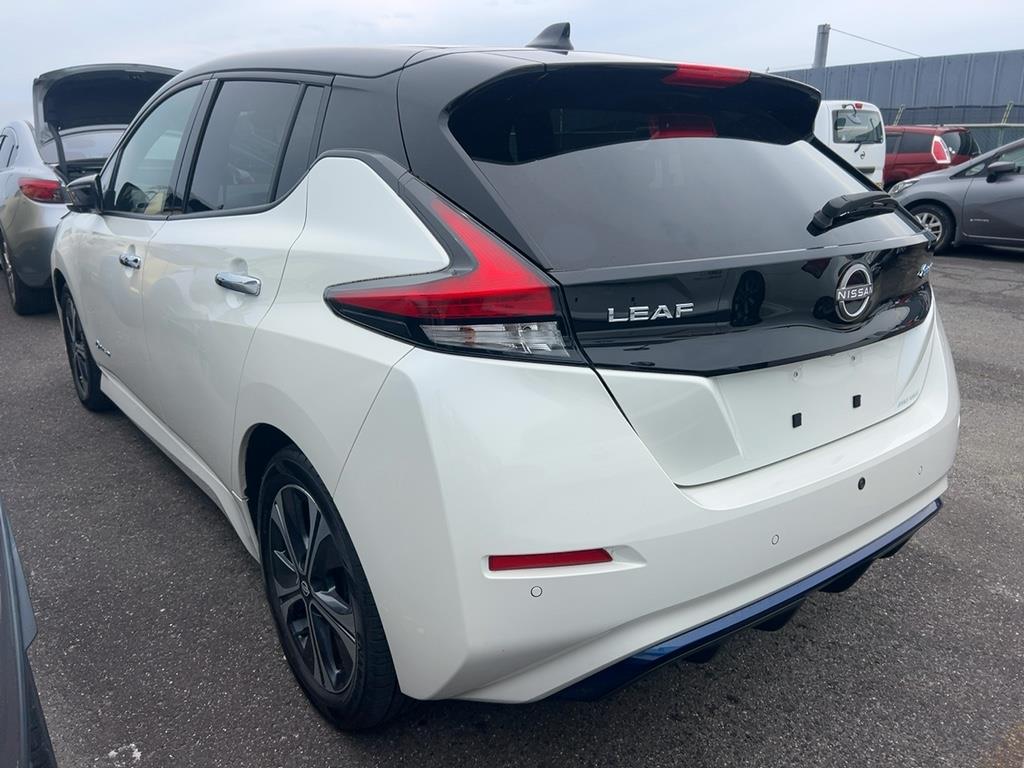 2021 Nissan Leaf thumbnail