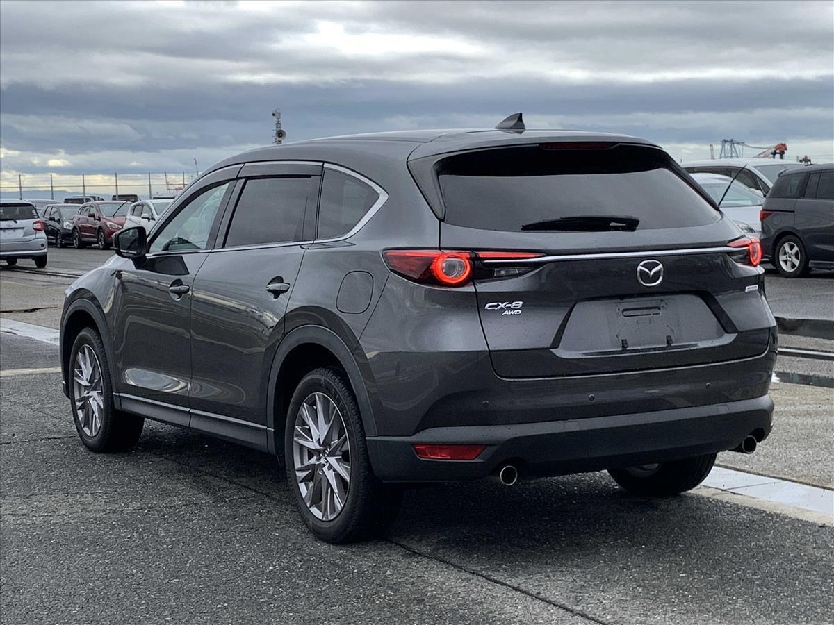 2019 Mazda CX-8 thumbnail