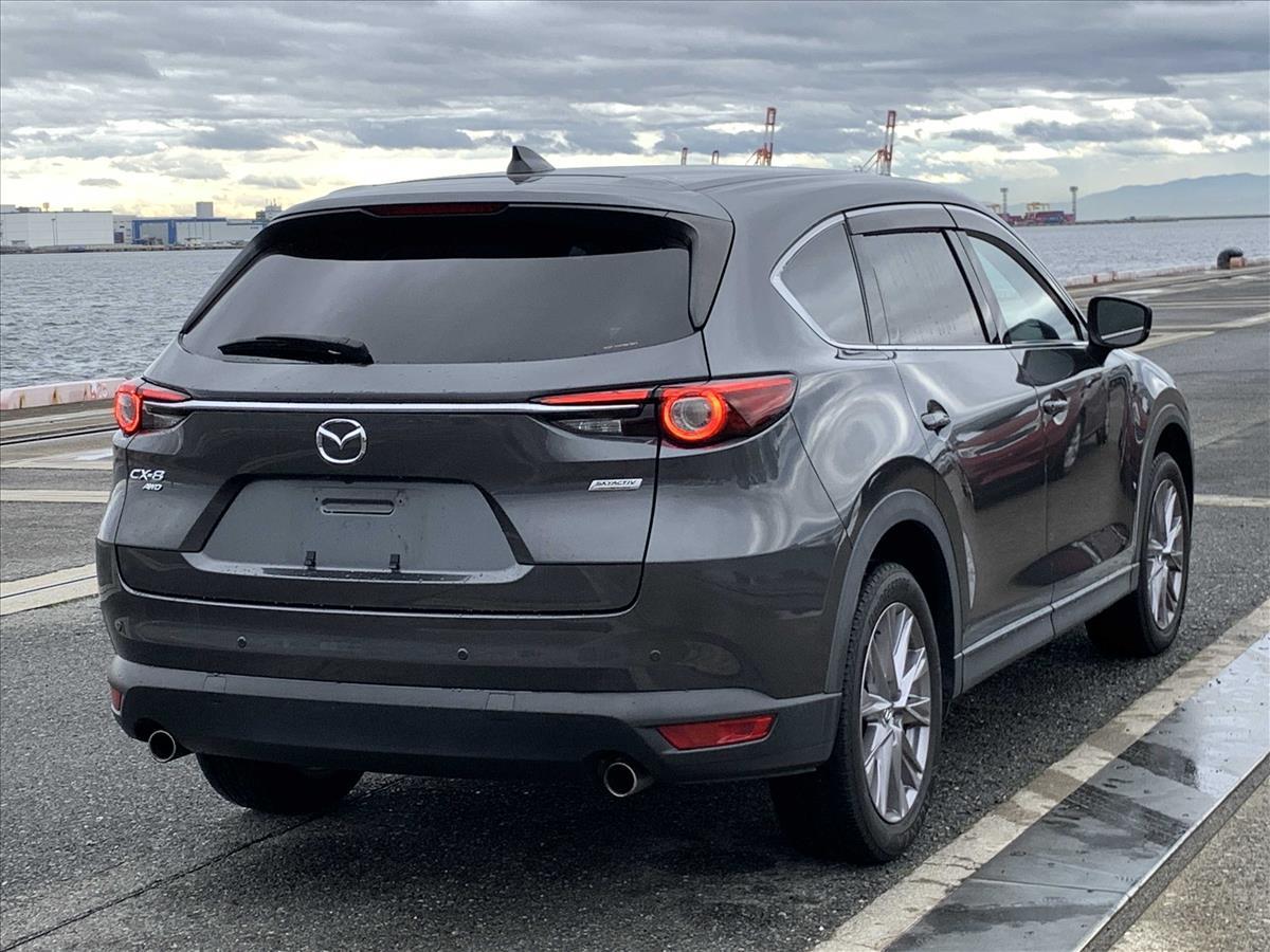 2019 Mazda CX-8 thumbnail