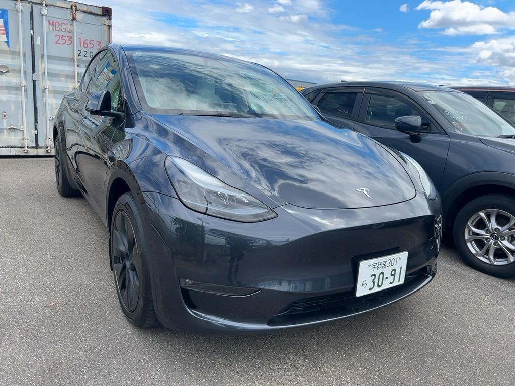 2024 Tesla Model