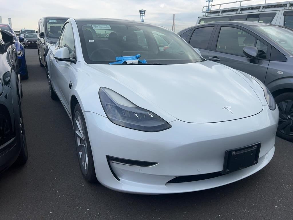 2021 Tesla Model