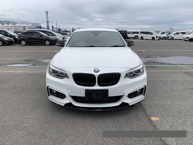 2016 BMW 2 thumbnail
