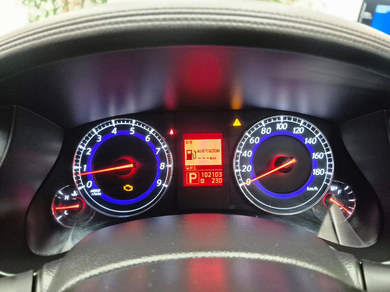 2009 Nissan Skyline thumbnail