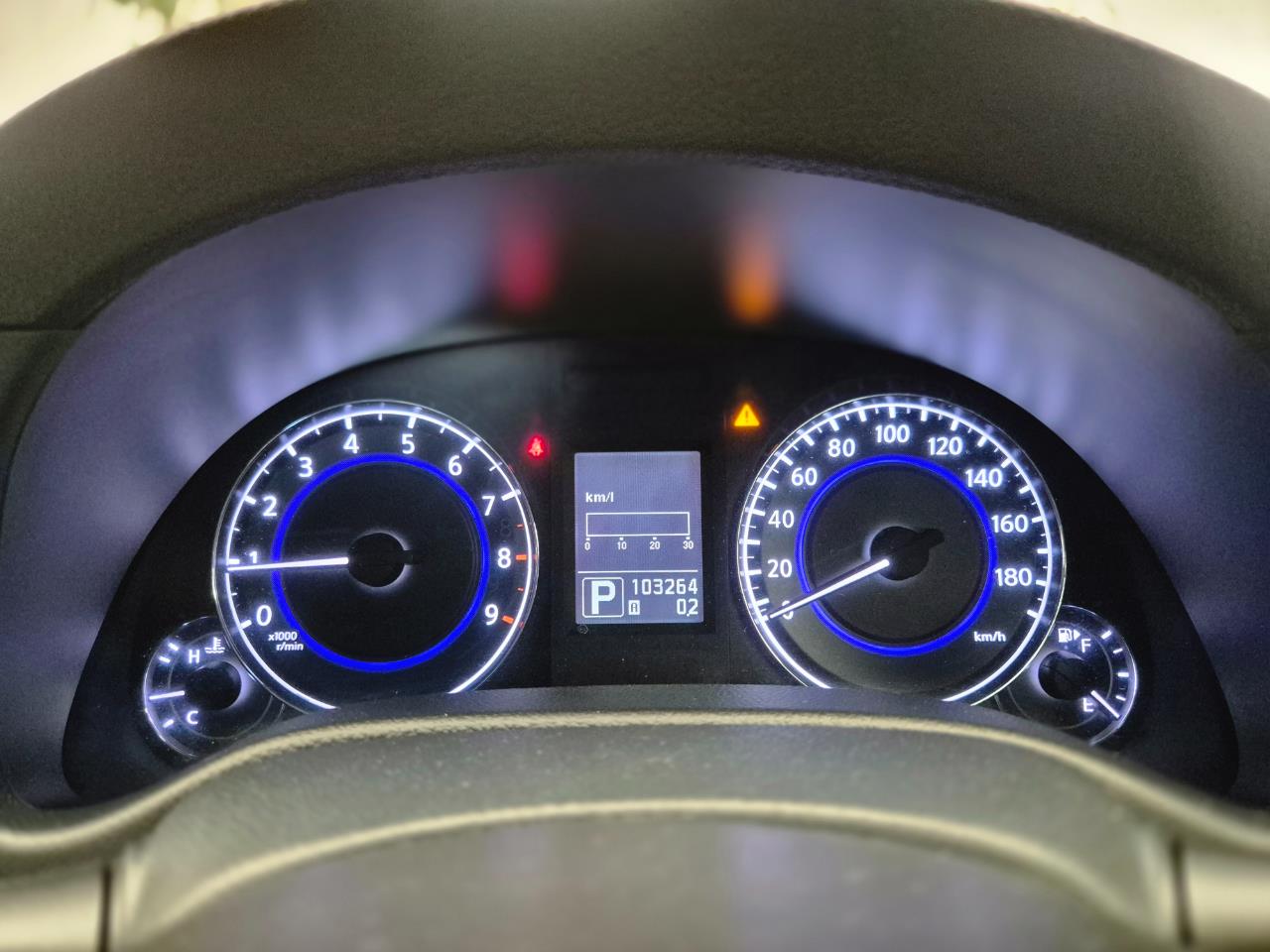 2010 Nissan Skyline thumbnail