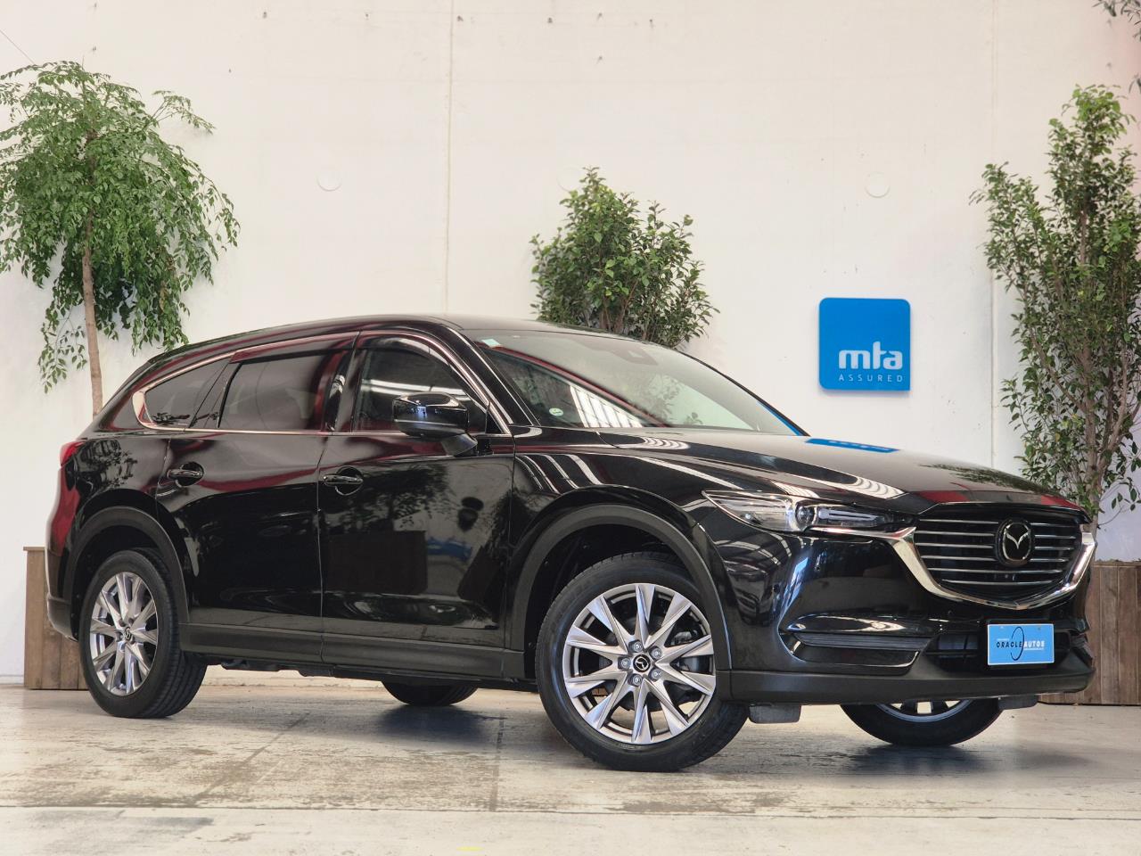 2019 Mazda CX-8 thumbnail