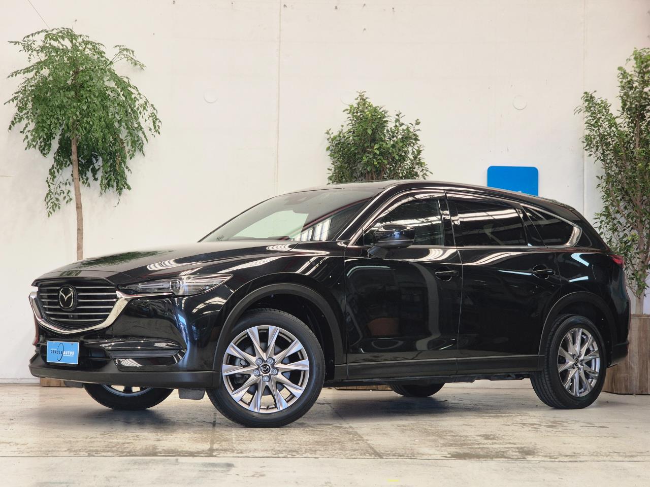 2019 Mazda CX-8 thumbnail