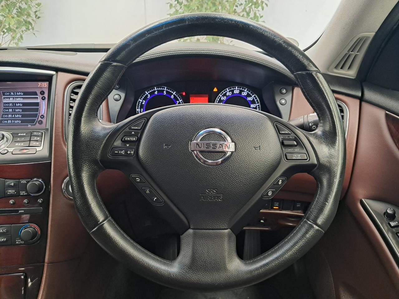 2010 Nissan Skyline thumbnail