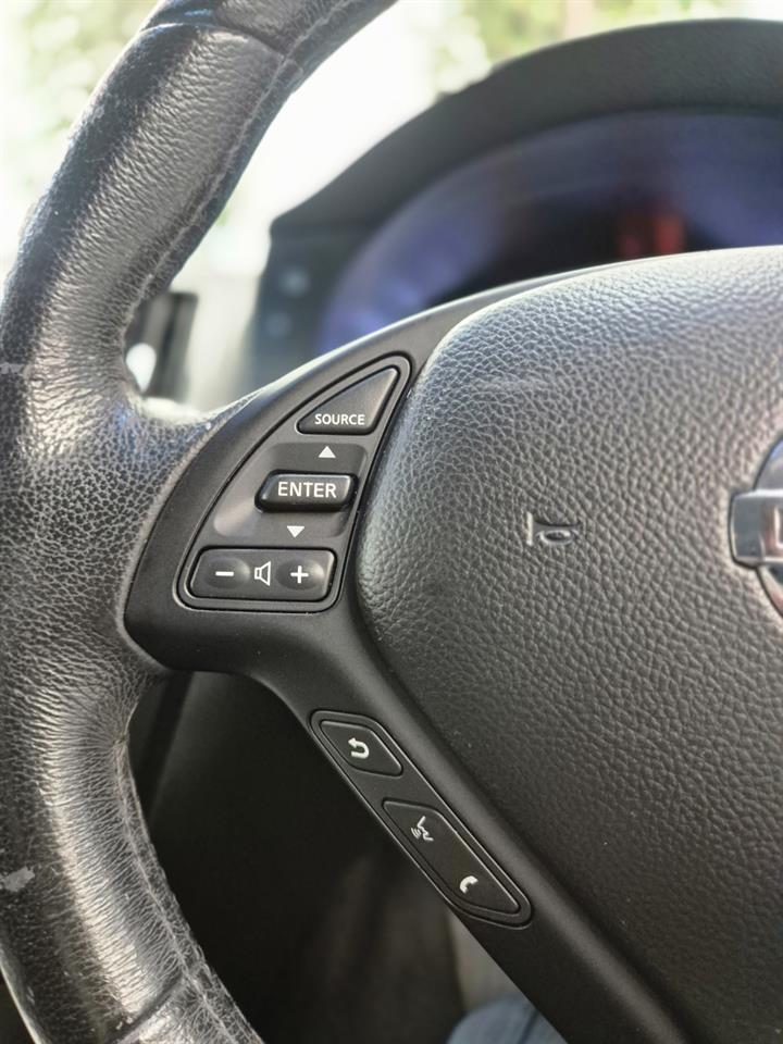 2010 Nissan Skyline thumbnail
