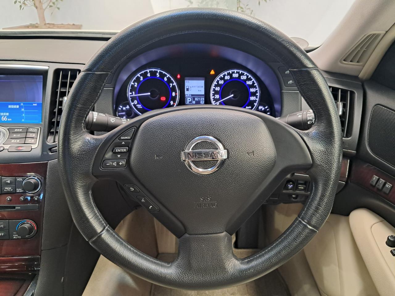 2010 Nissan Skyline thumbnail