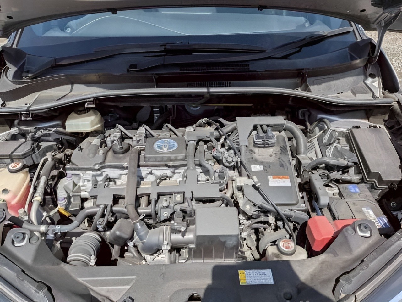2017 Toyota C-HR thumbnail
