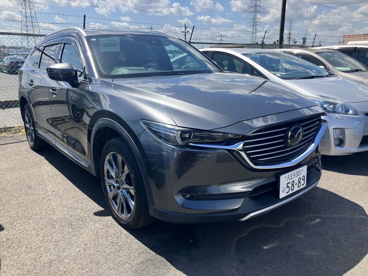 2019 Mazda CX-8 thumbnail